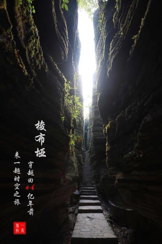 探索知识星球平台,尽在婚礼祝福语简短上档次
